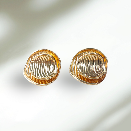 Chic Double Layer earrings